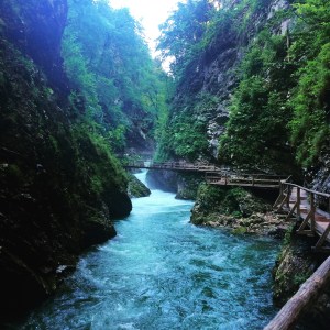 20160618_065649967_iOS